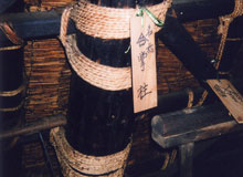 羸¤-